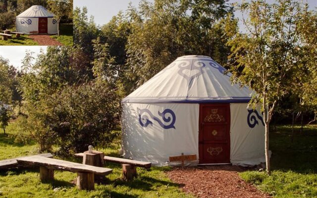 Plush Tents Glamping