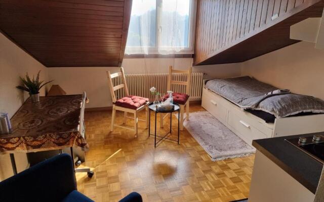 Momo's appartement - in center of fribourg!