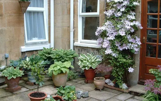 Radnor Guest House