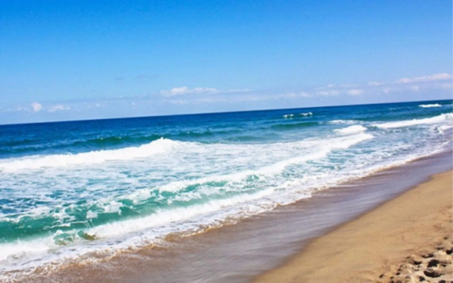 Yangyang Pinot Tree Pension