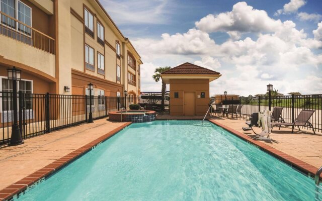 Spark by Hilton Brandon