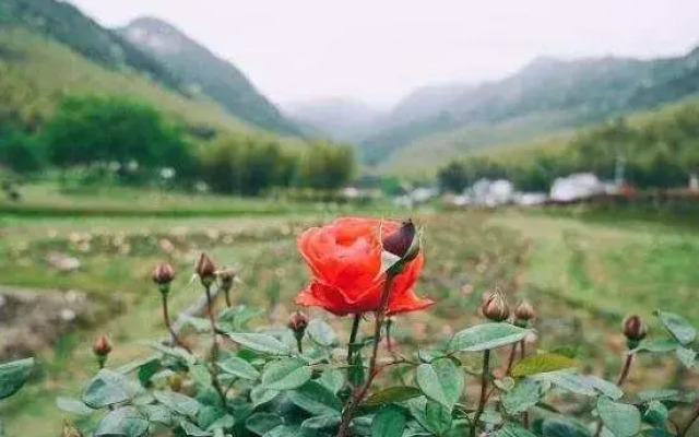 Tianzhu Huaxi Vally B&B