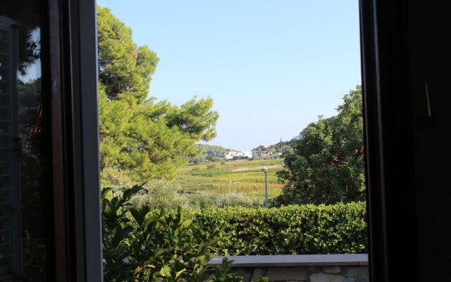 Beach Apartment Jakobus