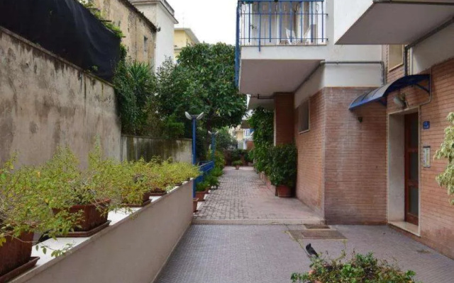 Sun Terrace