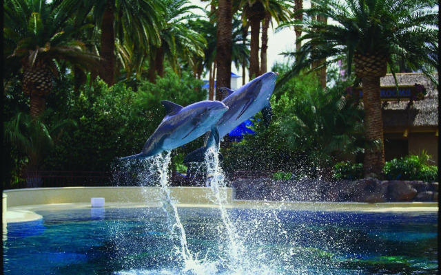 The Mirage Hotel & Casino