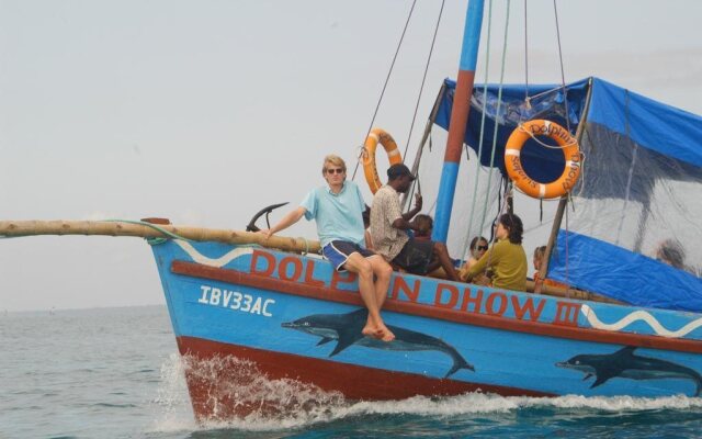 Dolphin Dhow Beach Safaris