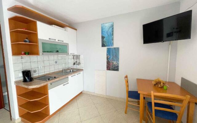 Apartments in Dramalj 41602