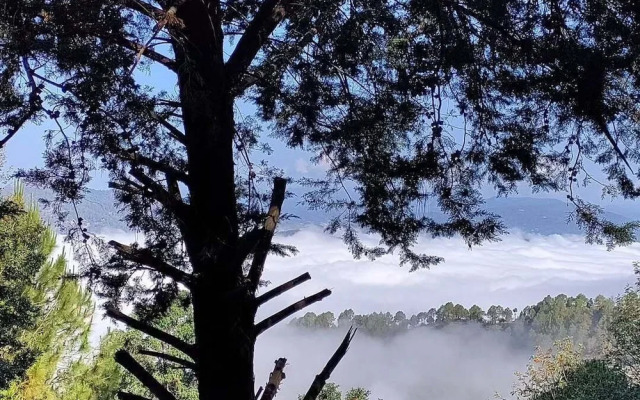 Mandeva Wooden castle