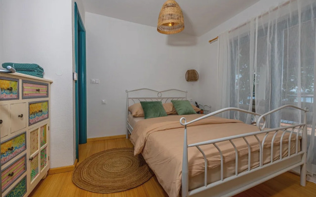 Villa Cikas Palmhouse