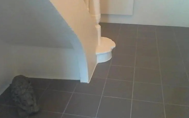Kósý Vík
