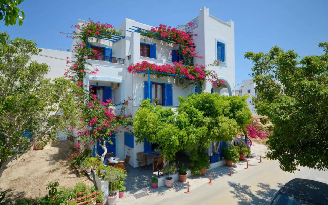 Rena Valetta Studios