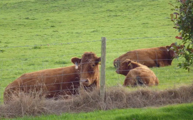 Whidlecombe Farm