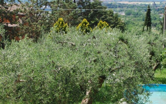 Bed  Breakfast Villa Flora