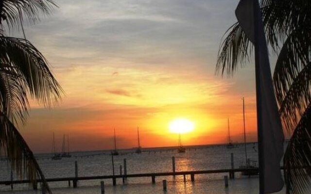 Aruba Surfside Marina