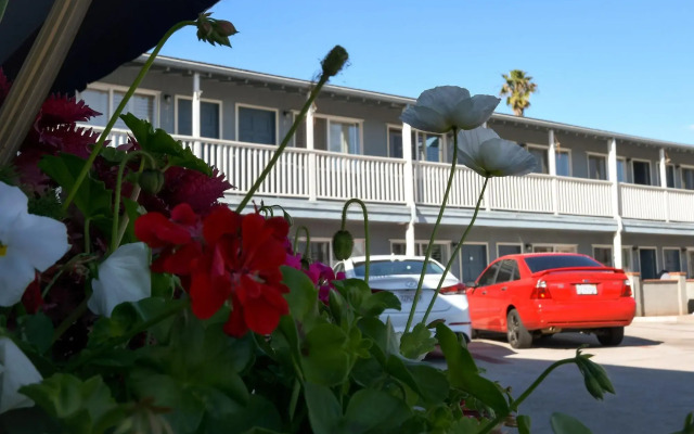 The Shores Inn and Beach Houses