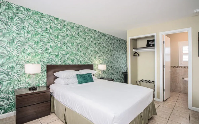 The Local - St. Augustine