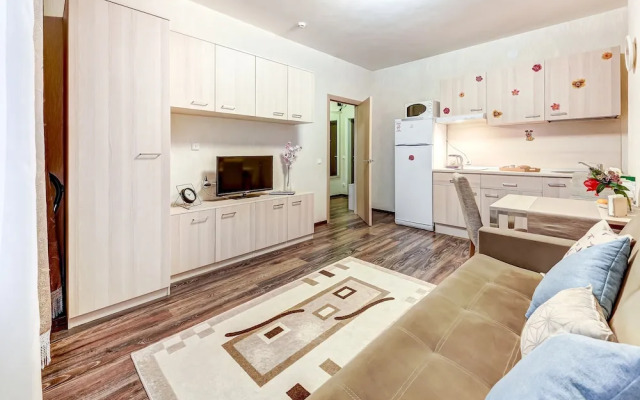 Cozy apartment Vesta near an airport