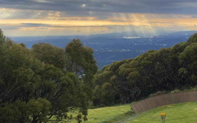 Snow Gum Apartment 2