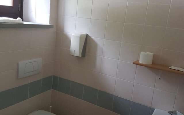 Le Chianine dei Tognoli