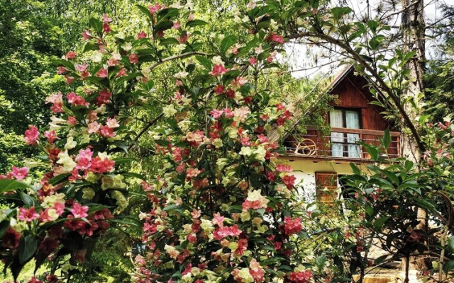 Sunny Wooden House on Creek, 30 Minutes Prague