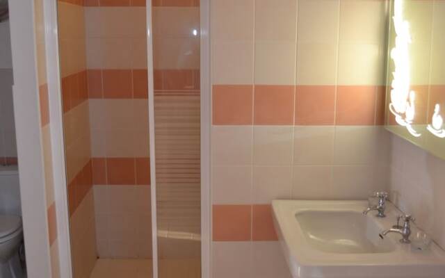 Les Camélias des Demoiselles de Pallus