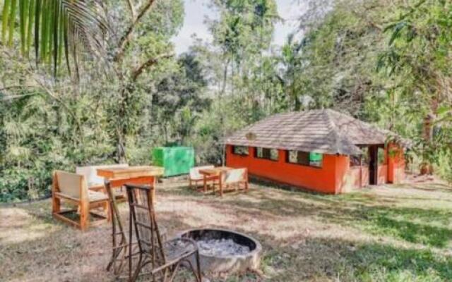 Coorg amodhini