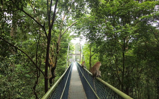 Backpackers@SG