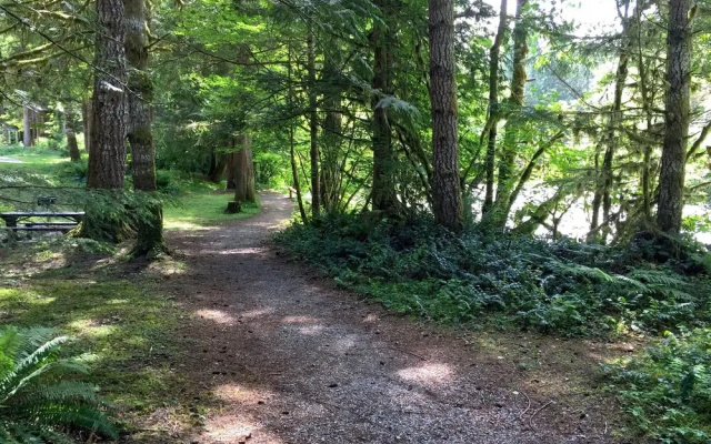 91sw - Wi-fi - Pets Ok - Sleeps 6