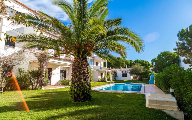 Akisol Olhos de Agua Pine II