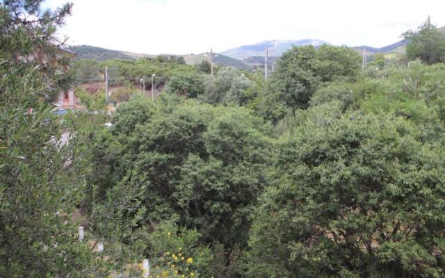 Appartement Banyuls-sur-Mer, 1 pièce, 4 personnes - FR-1-309-171