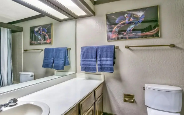 227 Squaw Valley Road Condo