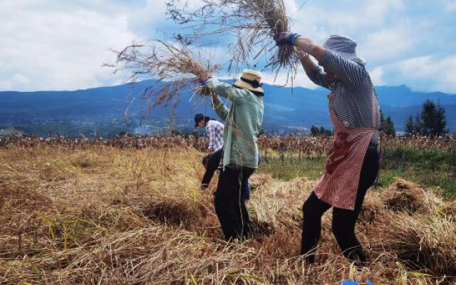 Shaxi Xipi OneRoom B&B