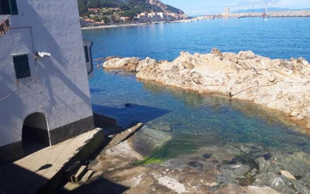 Cotone bilocale 2019