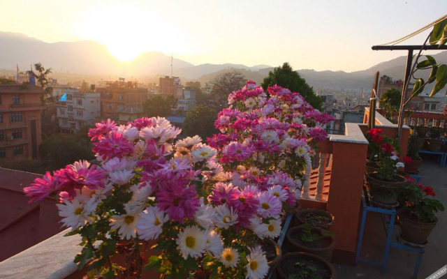 Nepal Apartment