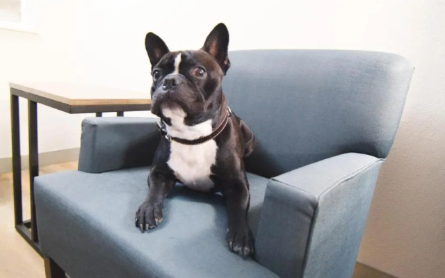 Americas Best Value Inn