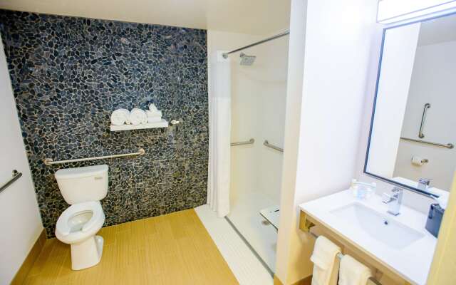 Hilton Garden Inn Rochester Downtown, MN