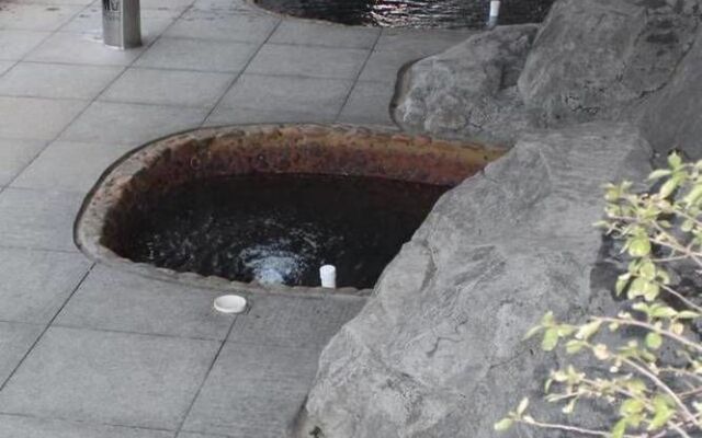 Nanhua Qifu Hot Spring Hotel