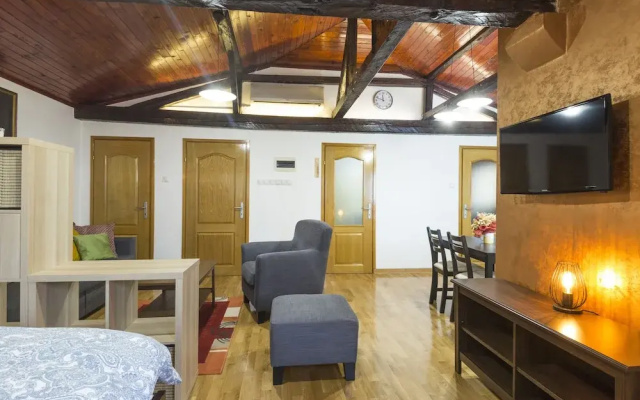 Belgrade Center Apartment V