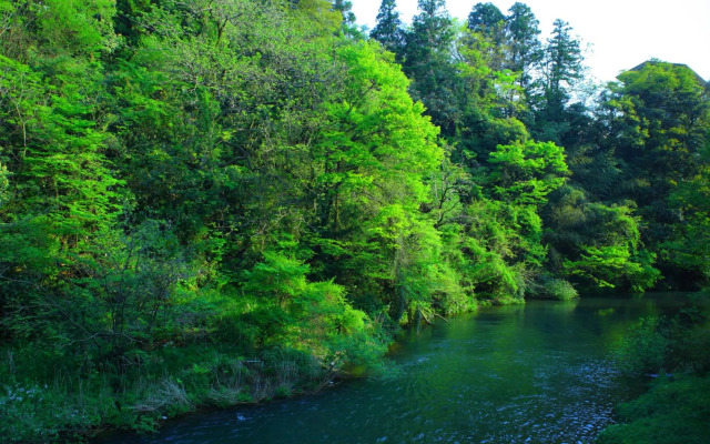 Yamanaka Onsen Ohanami Kyubei