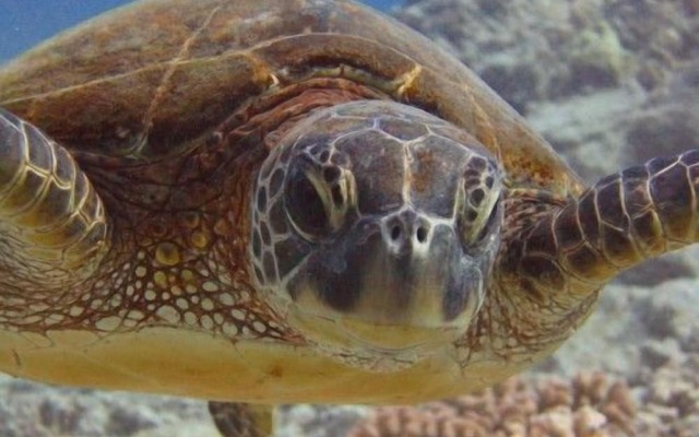 Sea Village 3 212 by RedAwning