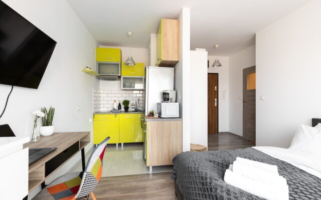 Białołęka Dionizosa