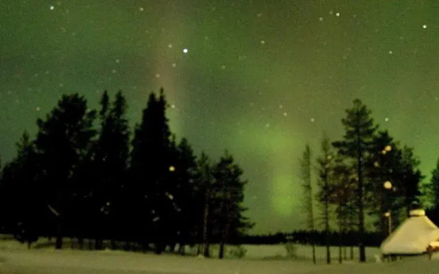 Ruka Safaris - Papin Talo