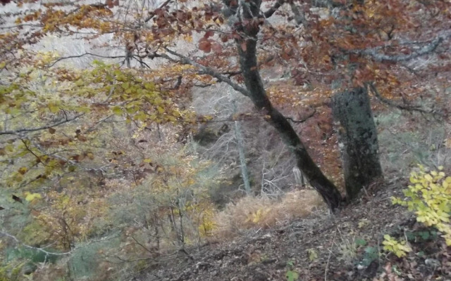 La Montaña Palentina