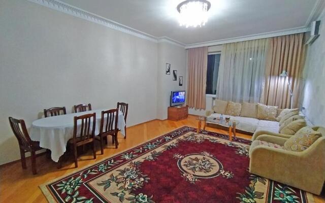 One bedroom apartments near Nizami metro
