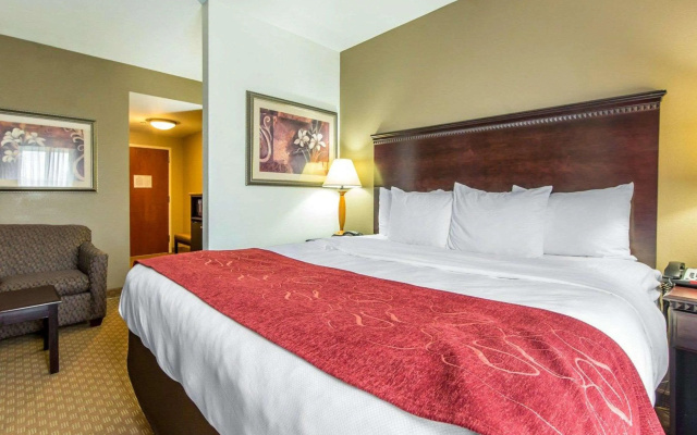 Comfort Suites Knoxville North
