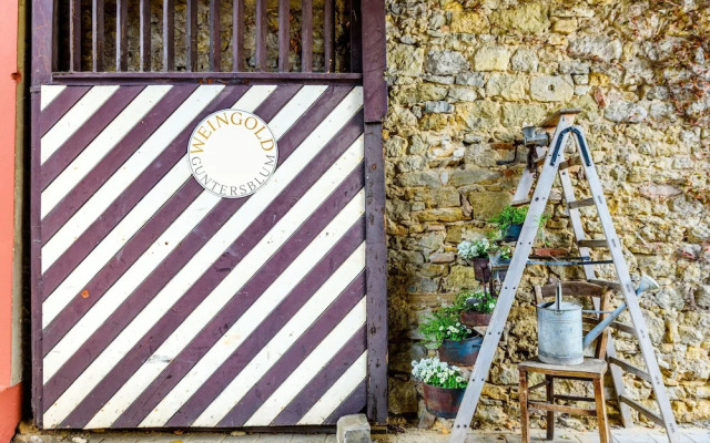 Landhotel Weingold Guntersblum