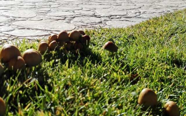 Hotel Rural y SPA La Senda de los Caracoles