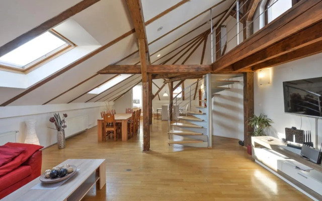 Amazing Charles Bridge Apartment