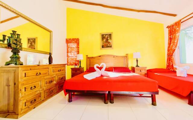 Room-executive Budget Room With Swimming