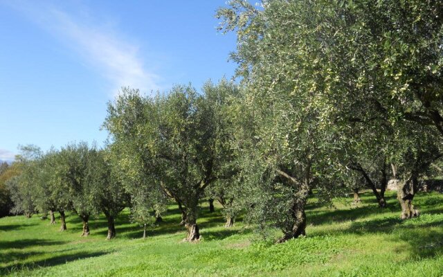 BB Ca Morino